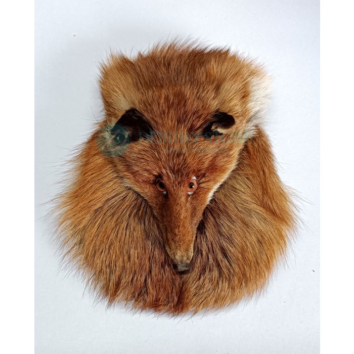 Red Fox Full Mask Head on Sporran
