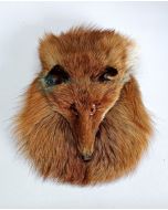 Red Fox Full Mask Head on Sporran