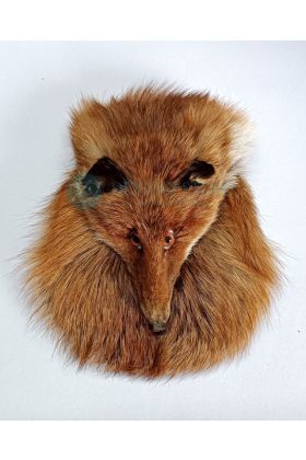 Red Fox Full Mask Head on Sporran